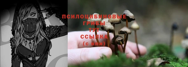гашик Бронницы