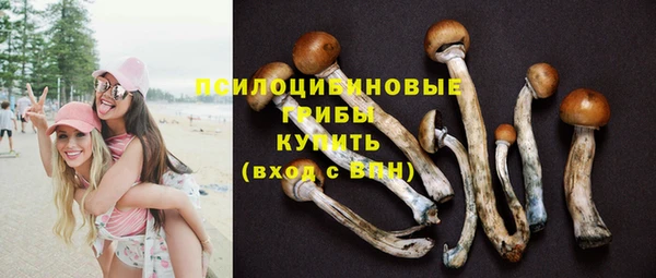 синтетический гашиш Няндома